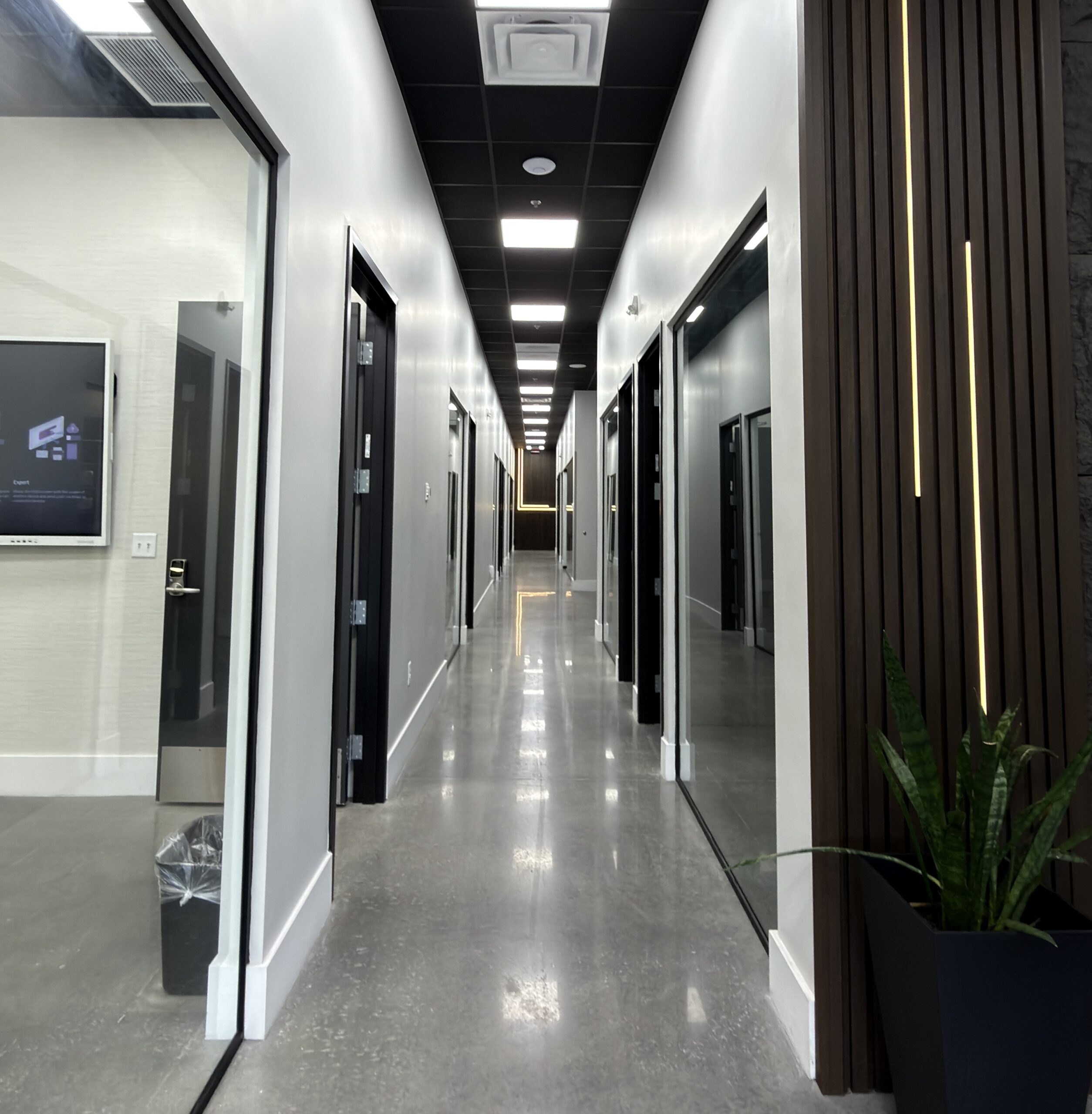 Elegant Office Space